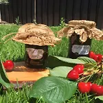 Dimitrovi Guesthouse - Peaceful Stay Near Beach With Garden, Sarafovo