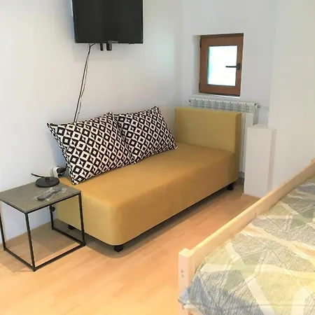 за гости димитрови