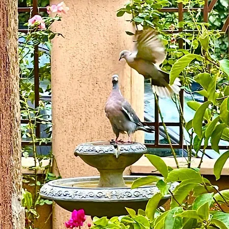 ゲストハウス за гости димитрови ブルガス