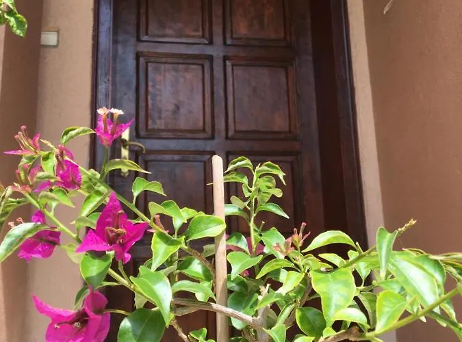 Gæstehus Dimitrovi Guesthouse - Peaceful Stay Near Beach With Garden, Sarafovo