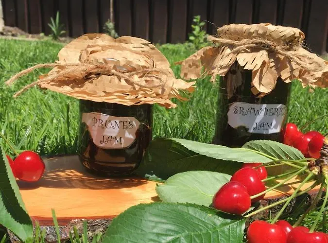 за гости димитрови