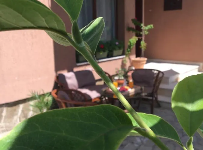 Dimitrovi Guesthouse - Peaceful Stay Near Beach With Garden, Sarafovo 4* Burgas City