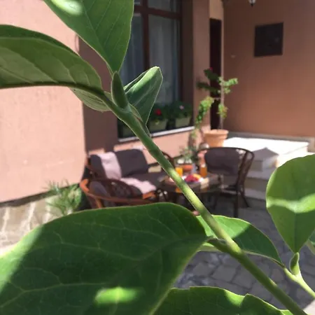 Dimitrovi - Peaceful Near With Garden, Sarafovo 4* Burgas